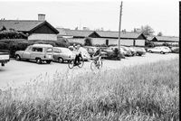 ,1979,sommer,skovtur,Gl.toftegrd